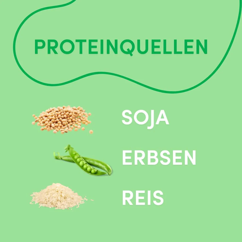 Veganer Proteinriegel Haselnuss-Nougat-Geschmack (Kauf 4, zahl 3) - Image 4